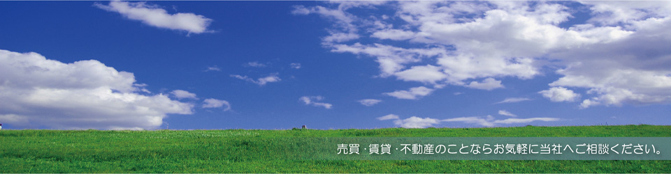 index.html